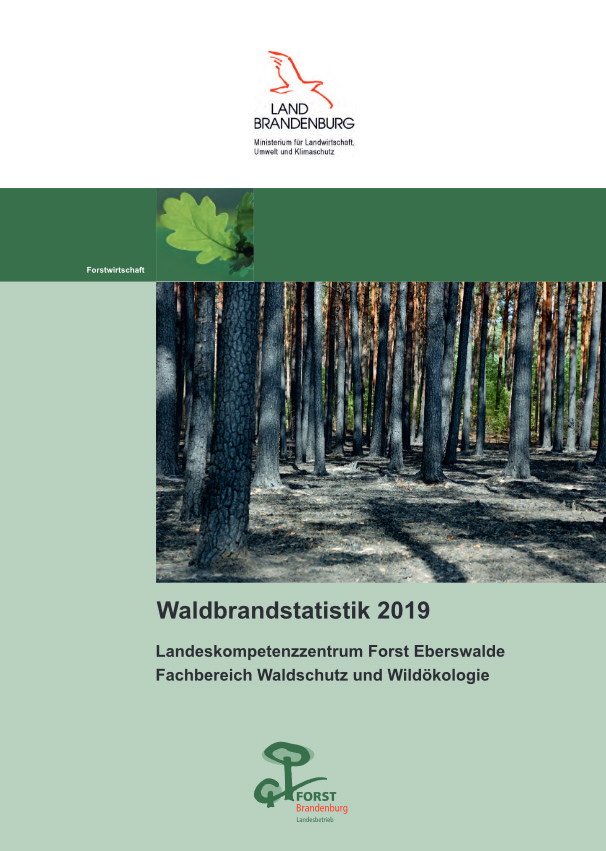 Bild vergrößern (Bild: Waldbrandstatistik 2019)