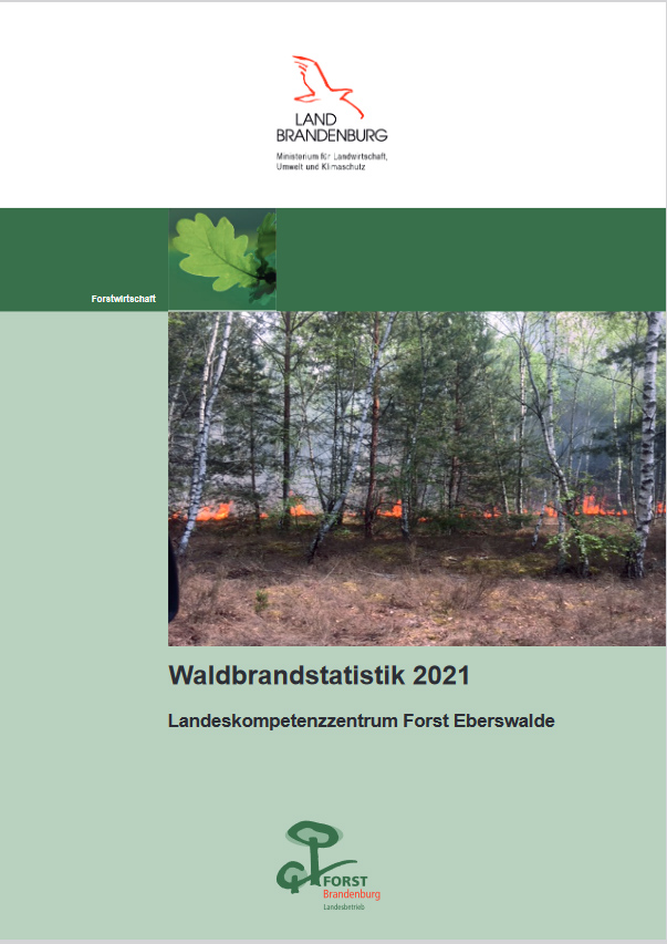 Bild vergrößern (Bild: Waldbrandstatistik 2021)