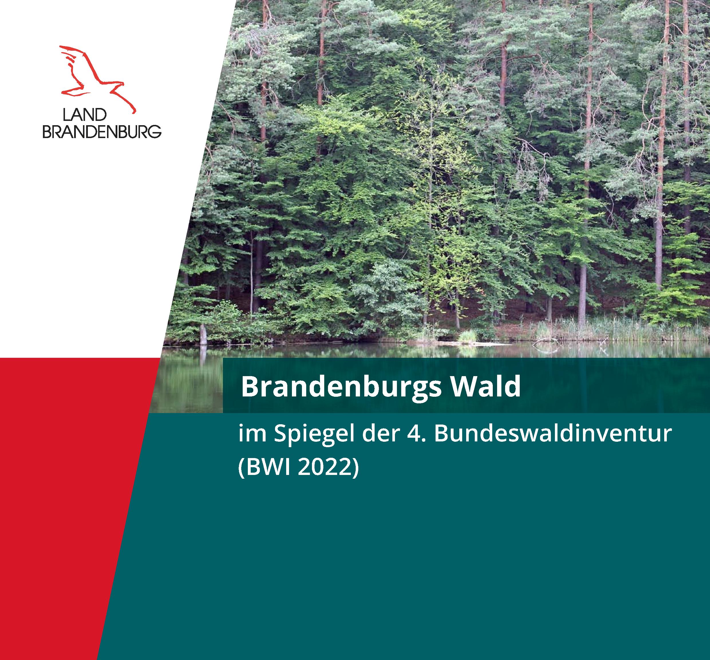 Bild vergrößern (Bild: Brandenburgs Wald im Spiegel der 4. Bundeswaldinventur BWI 2022)