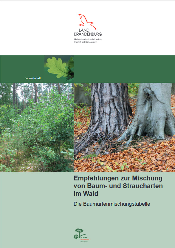 Bild vergrößern (Bild: Empfehlungen zur Mischung von Baum- und Straucharten im Wald (Baumartenmischungstabelle))
