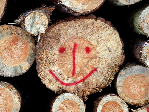 Smiley auf einem Holzstapel