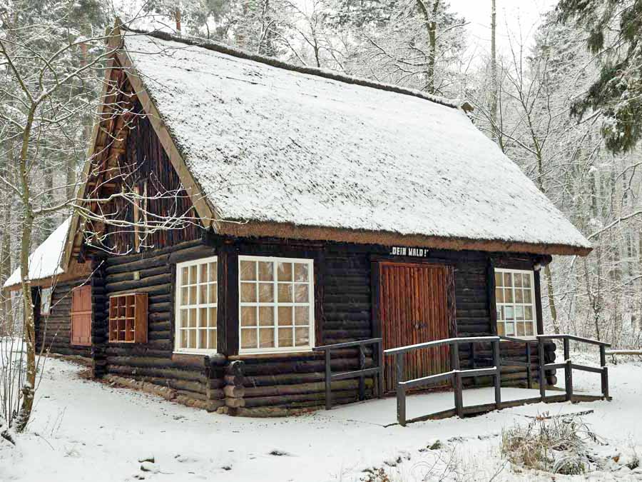 Waldmuseum im Schnee