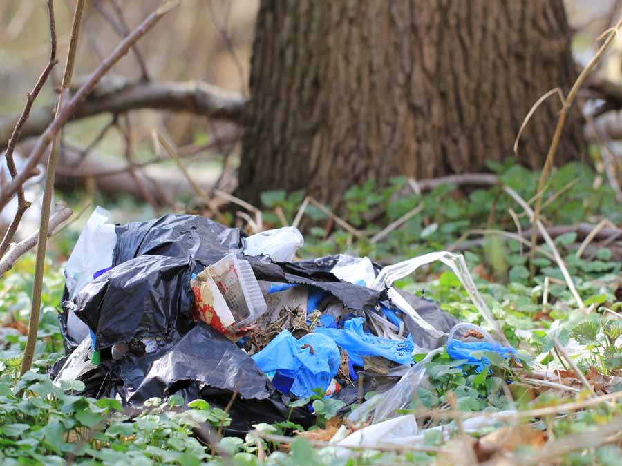 ein aufgerissener Müllsack mit Haushaltsmüll liegt im Wald