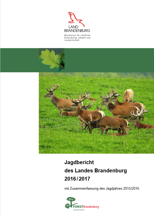 Bild vergrößern (Bild: Jagdbericht des Landes Brandenburg 2016/2017)