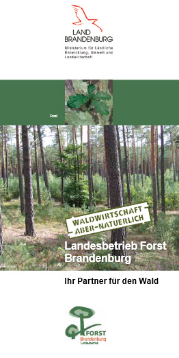 Bild vergrößern (Bild: Landesbetrieb Forst Brandenburg Faltblatt)