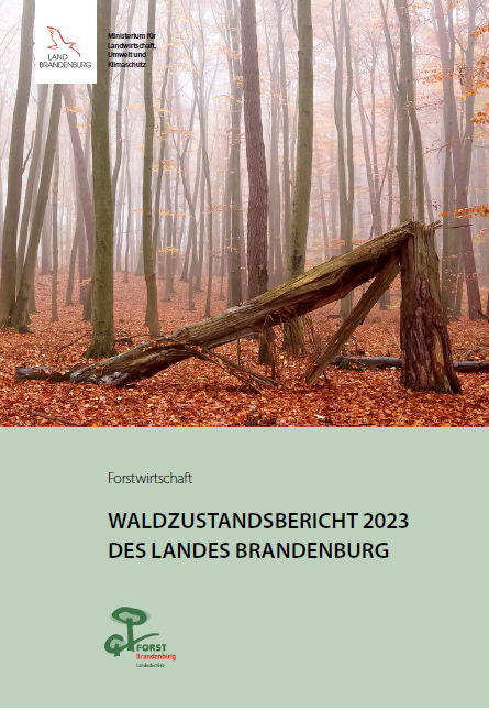 Bild vergrößern (Bild: Waldzustandsbericht 2023)