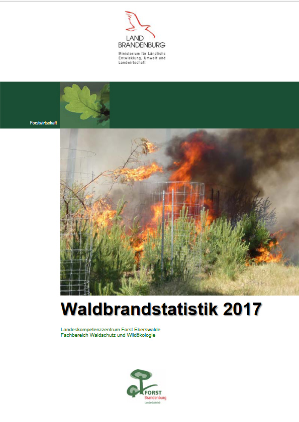 Bild vergrößern (Bild: Waldbrandstatistik 2017)