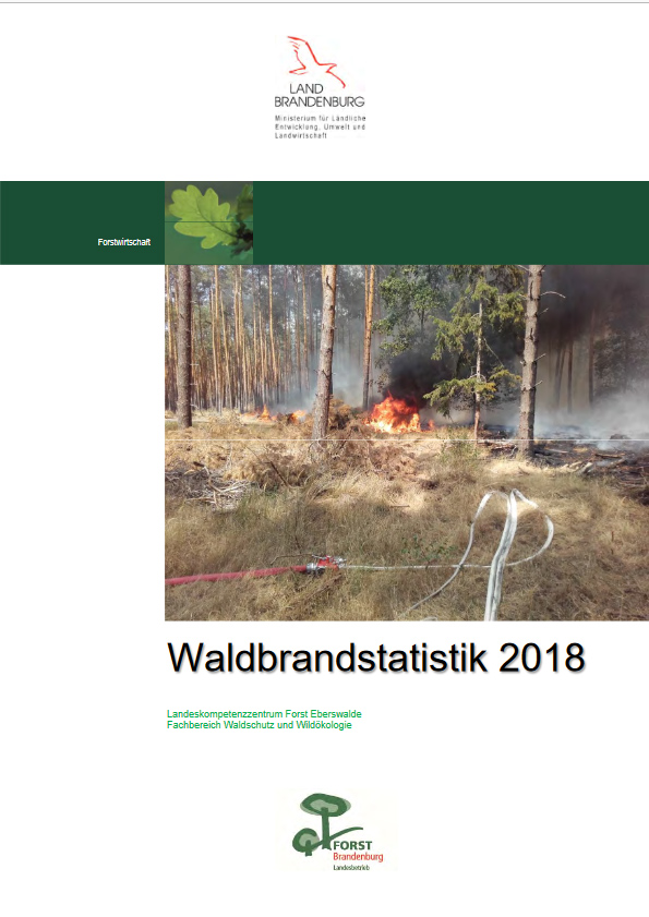 Bild vergrößern (Bild: Waldbrandstatistik 2018)