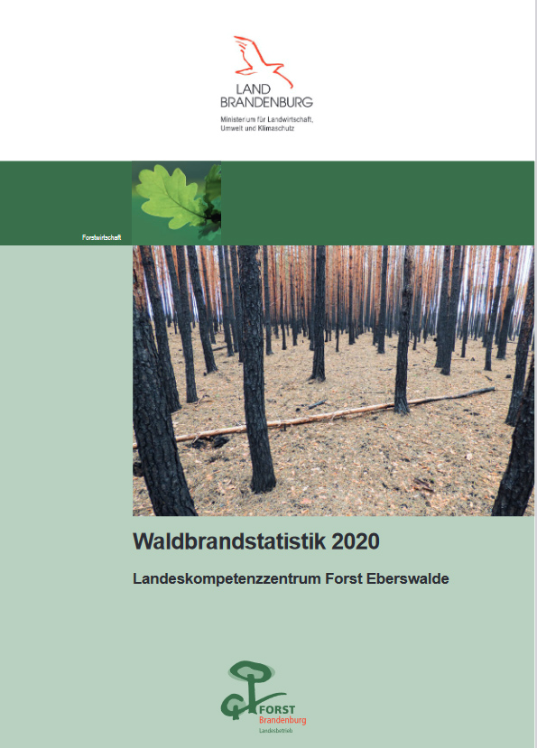 Bild vergrößern (Bild: Waldbrandstatistik 2020)