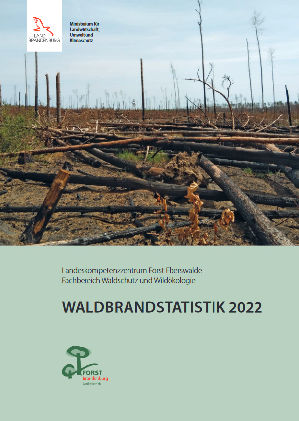 Bild vergrößern (Bild: Waldbrandstatistik 2022)