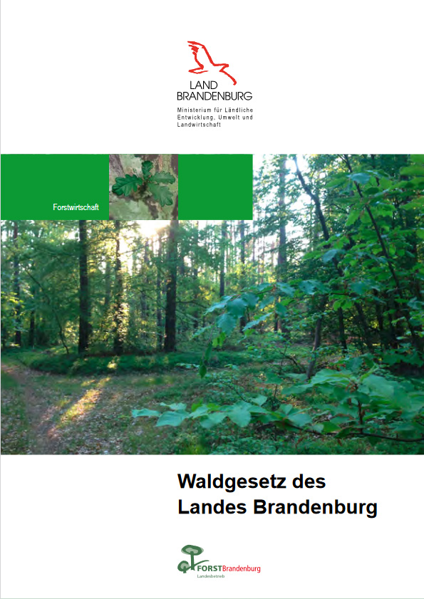 Bild vergrößern (Bild: Waldgesetz 2019)