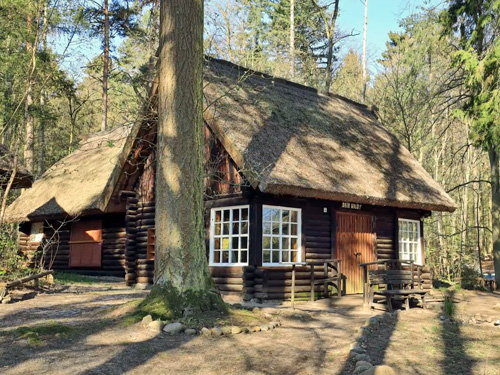 Blockhütte im Wald mit dem Waldmuseum Stendenitz