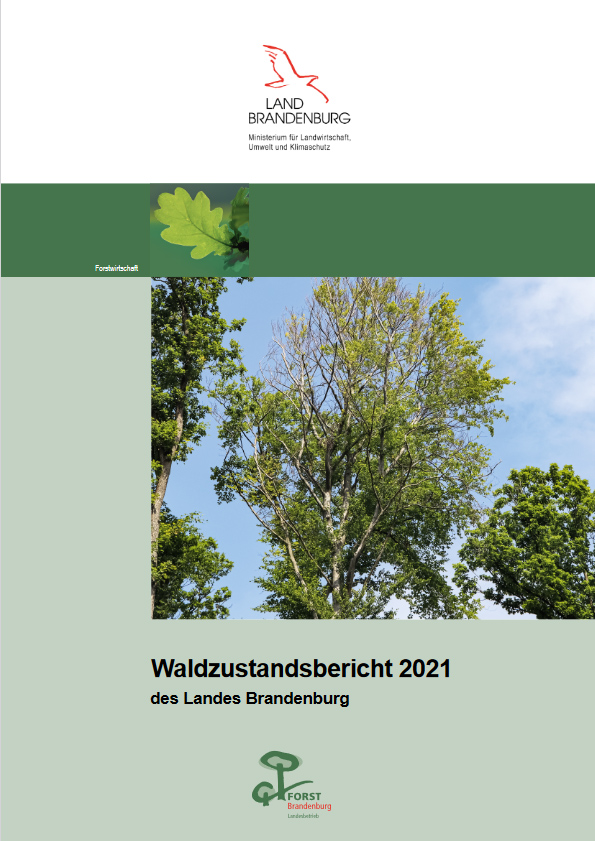 Bild vergrößern (Bild: Waldzustandsbericht 2021)