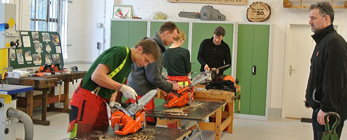 Ausbildung Forstwirt in Oberförsterei Potsdam