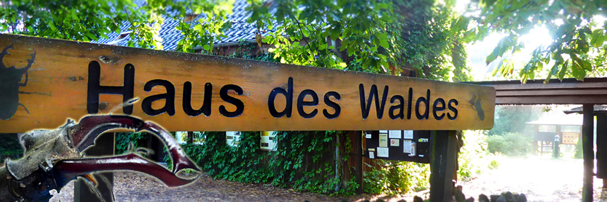 Hölzernes Eingangsschild mit Aufschrift "Haus des Waldes" und reinmontierten Hirschkäferkopf