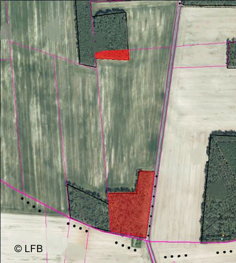 Luftbild mit rot markierten Einschlagsflächen, die einen Kahlschlag bedeuten