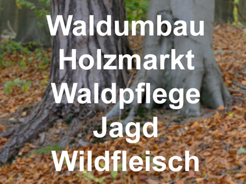 Hintergrundbild mit 2 Bäumen und Beschriftung mit Waldumbau, Holzmarkt, Waldpflege, Jagd und Wildfleisch