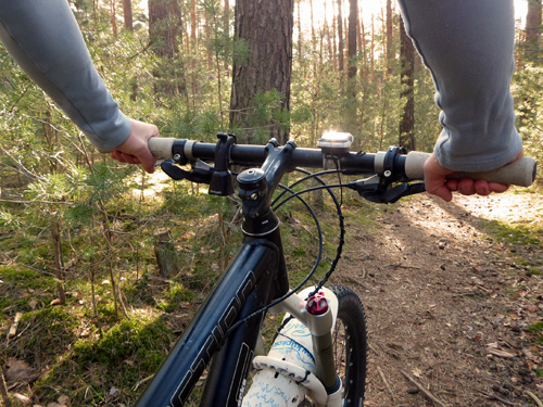 Kiefernwald im Licht, Hände halten Fahrradlenkergriffe