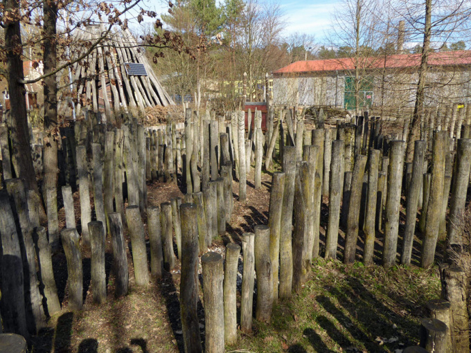 Ameisenwelt Labyrinth