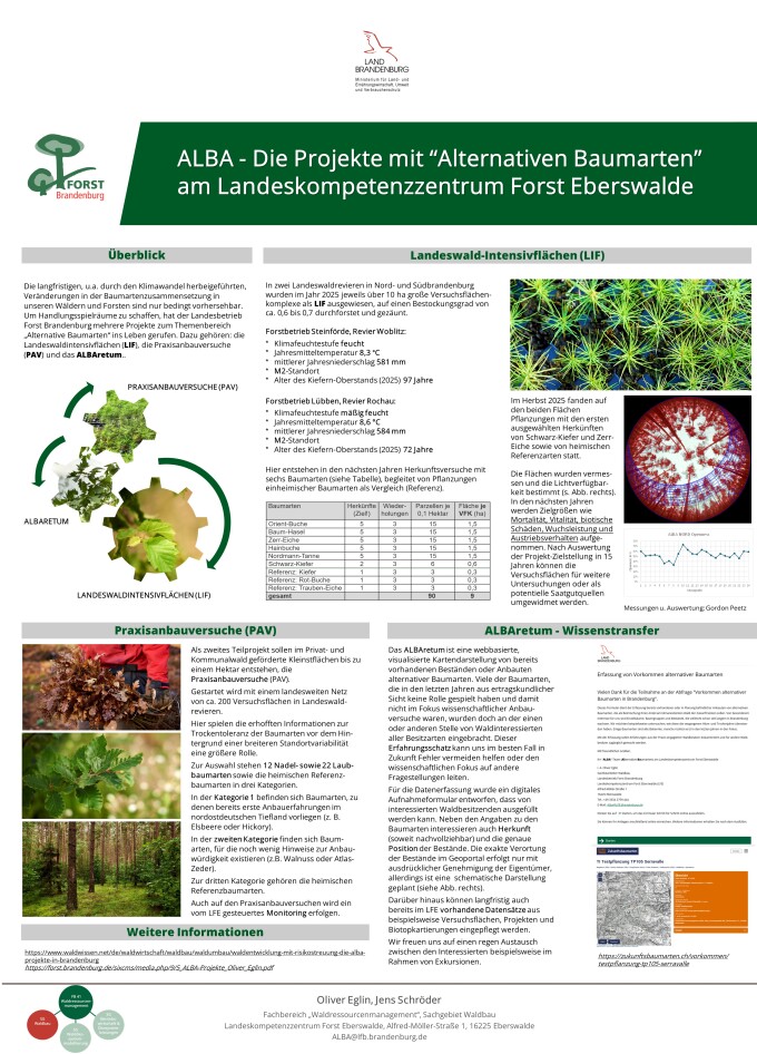 ALBA Die Projekte mit Alternativen Baumarten am LFE