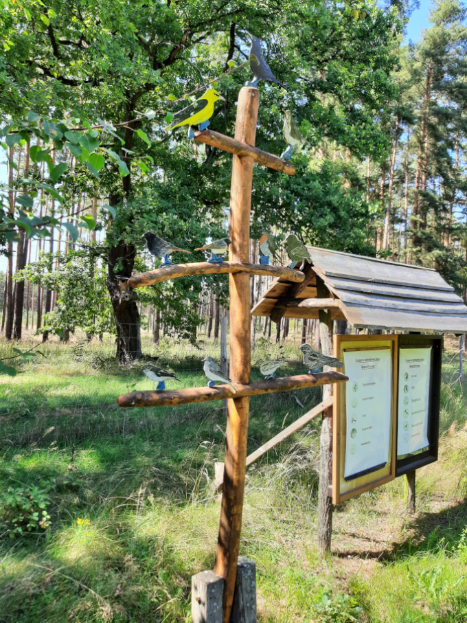 Waldschule Chransdorf