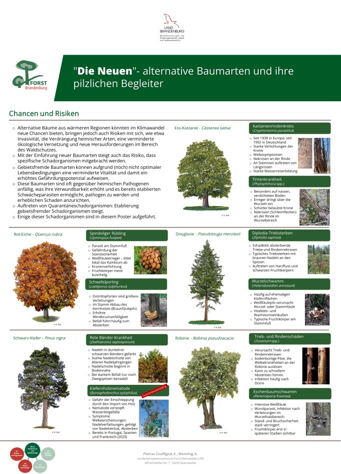 Die Neuen alternative Baumarten und ihre Pilzlichen Begleiter