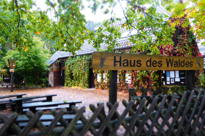 Haus des Waldes