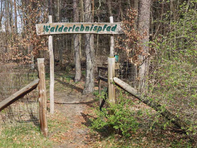 Eingangstor zum Walderlebnispfad