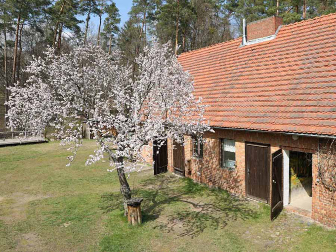 Nebengebäude als Außenansicht mit blühendem Baum davor