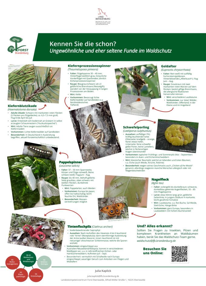 Kennen Sie die schon Ungewöhnliche und eher seltene Funde im Waldschutz