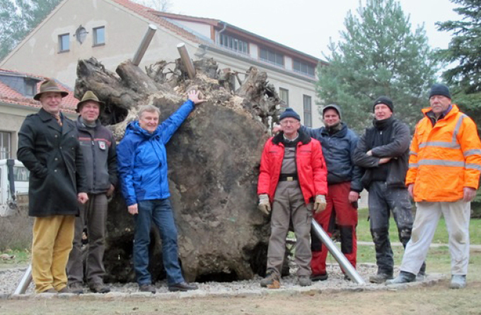 aufgestellt und gesichert im Dezember 2014