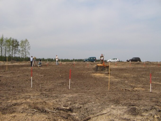 der Wurzelbereich ist markiert