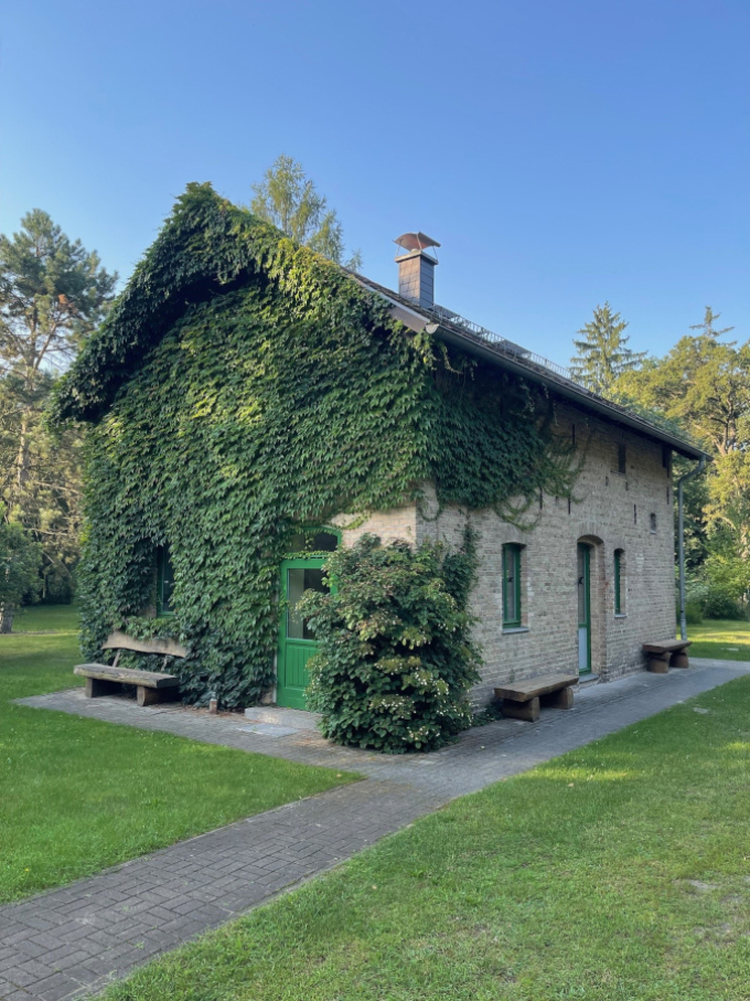 Waldschule Brieselang