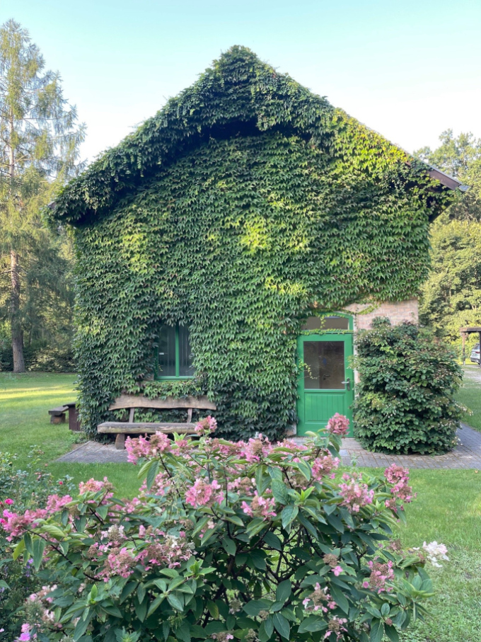 Waldschule Brieselang