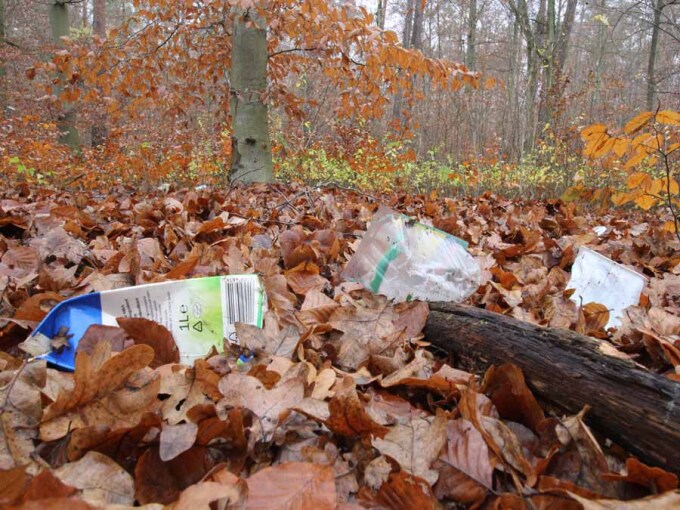 eine Milchpackung und 2 leere Verpackungen im Herbstlaub