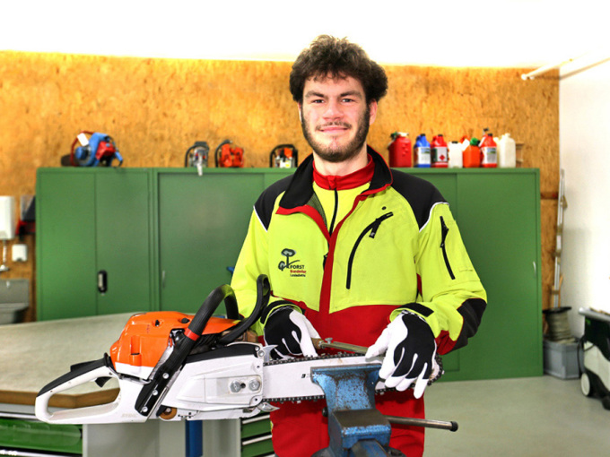 Auszubildender schärft die Kette einer Motorkettensäge