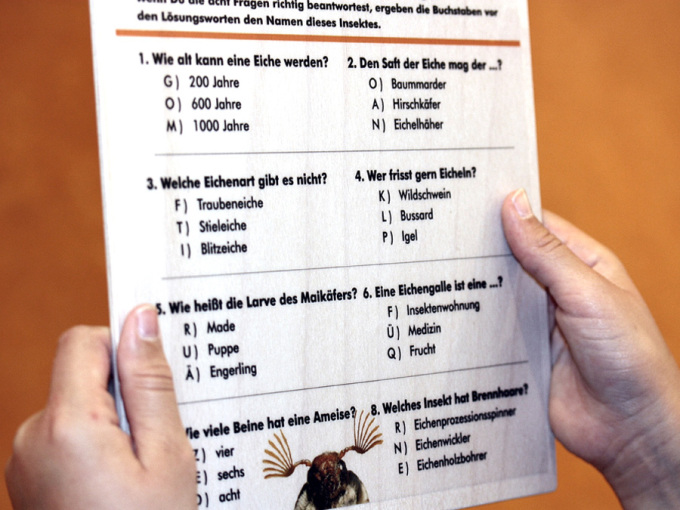 2 Hände halten eine Rätselkarte mit Fragen und Antwortmöglichkeiten