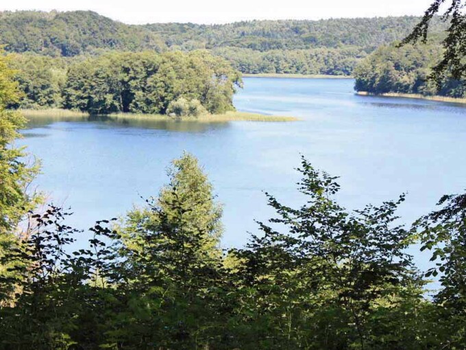 Wald- und Seenanblick Tornowsee