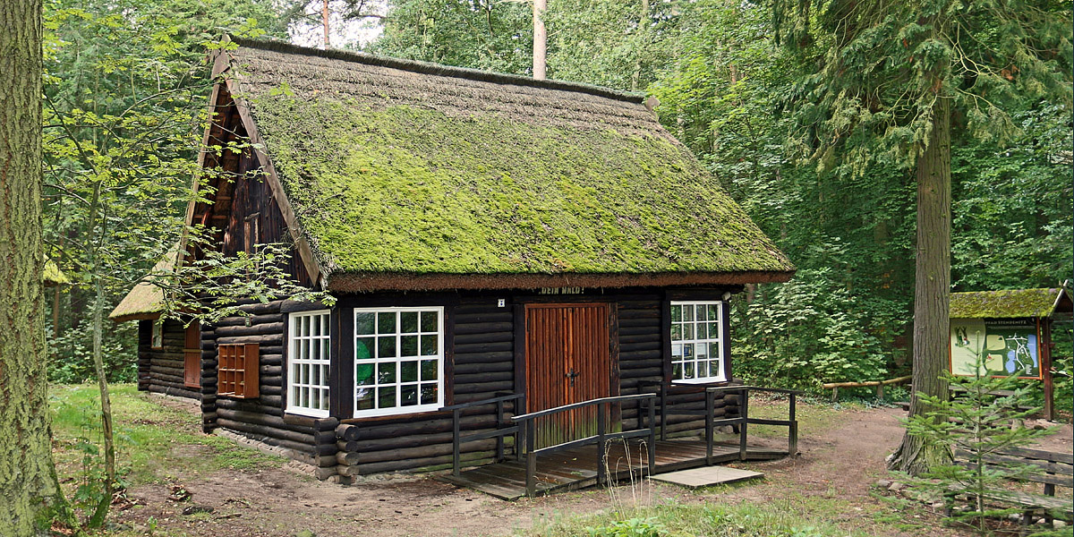 historisches Blockhaus im Wald