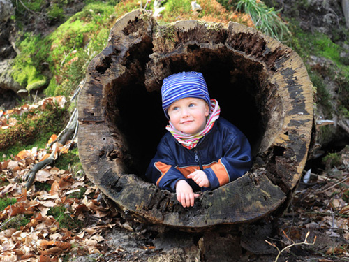ein Kind steckt in einem hohlen Baumstamm und schaut heraus