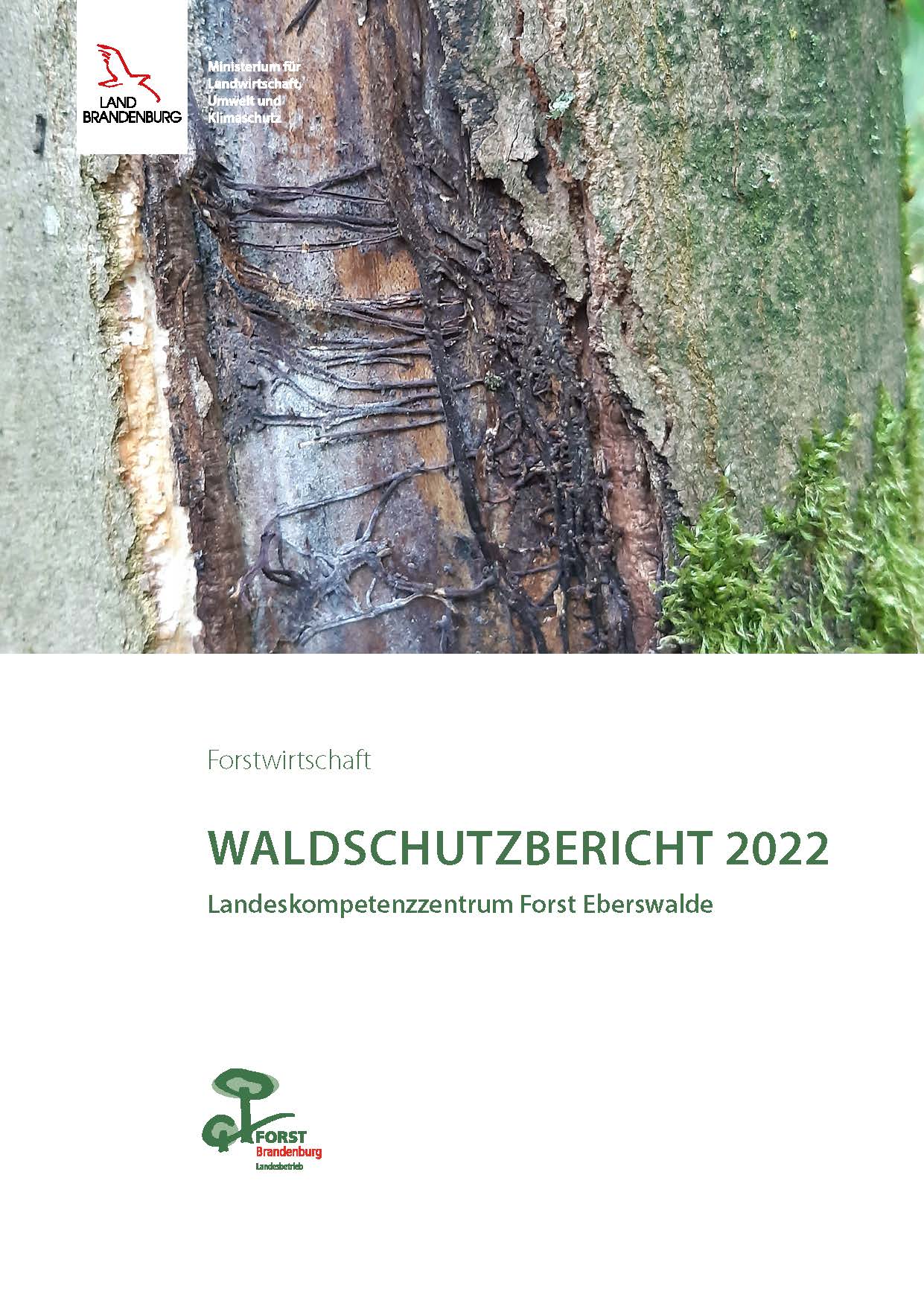 Bild vergrößern (Bild: Waldschutzbericht 2022)