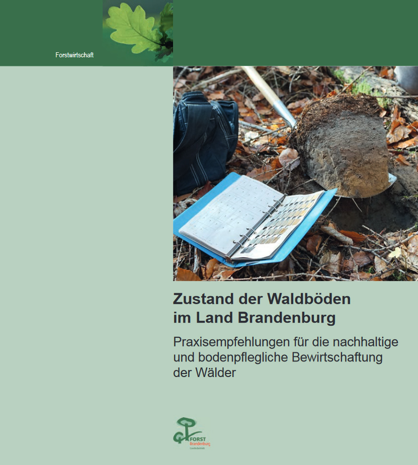 Bild vergrößern (Bild: Zustand der Waldböden im Land Brandenburg)